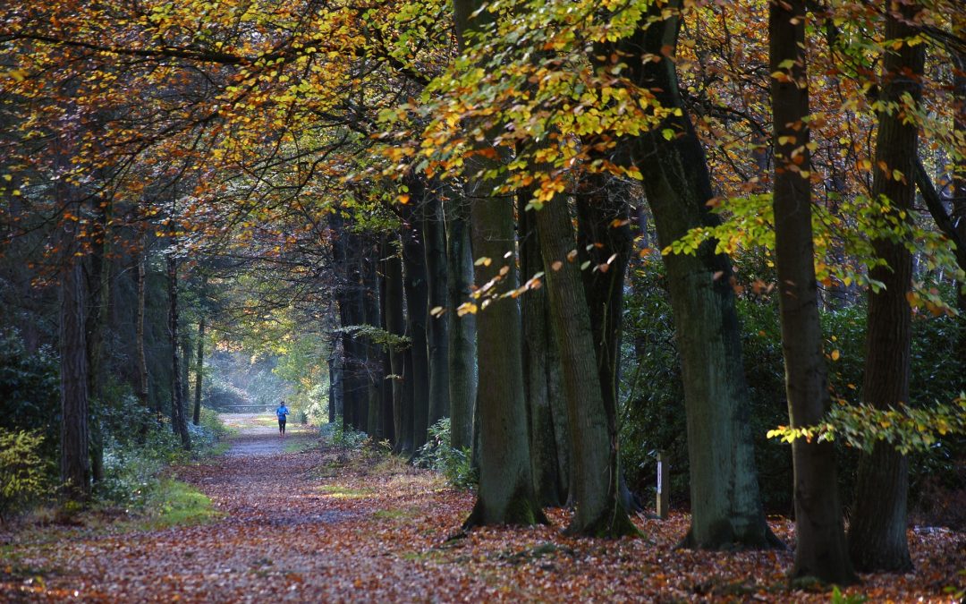 DEPORTE AL AIRE LIBRE ¡Diversión segura!